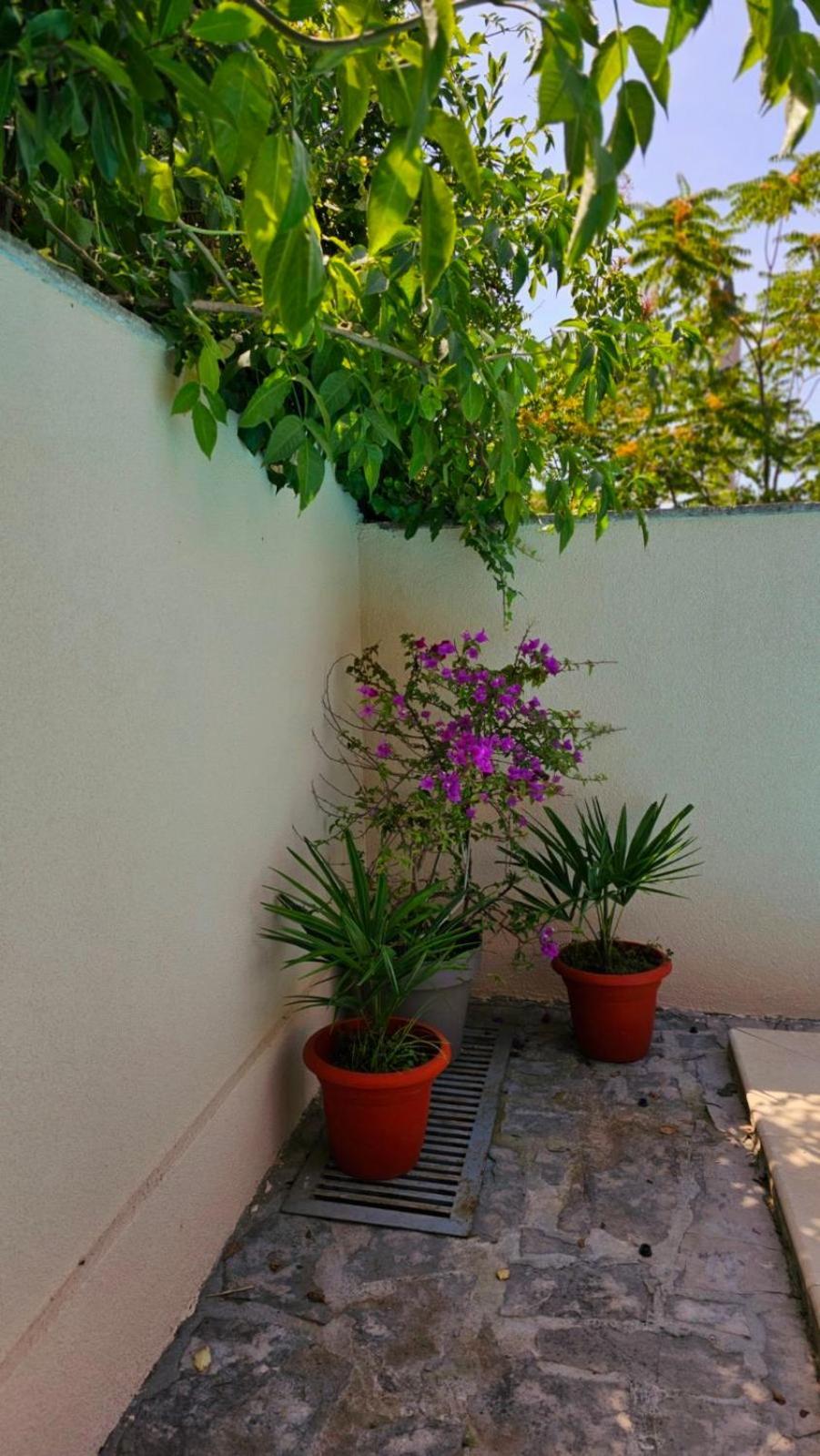 Lovely House With Swimming Pool Mostar Ngoại thất bức ảnh